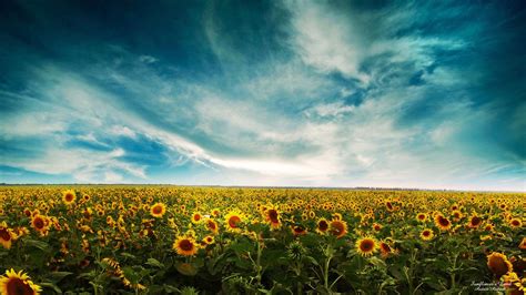 wallpapers for laptop|free wallpaper backgrounds for laptops.